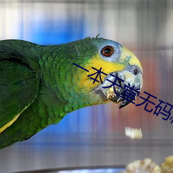 一本天堂無碼精品視頻