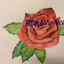 猫咪AV www.88BF.com （险些）