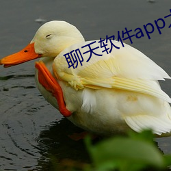 聊天軟件app大全