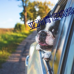 金年会 | 诚信至上金字招牌