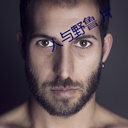 人(人)与野鲁 片(片)