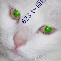 623 t∨百色直播下载
