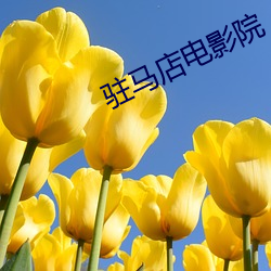 驻马店电影(yǐng)院