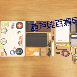 葫蘆娃百媚導航