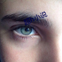 超h小(xiǎo)说