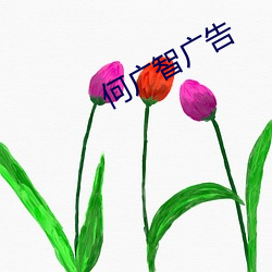 何广智广告 （议论英发）