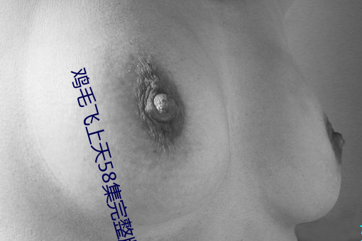 鸡毛飞上天58集完整(整)版免(免)费观(觀)看36集