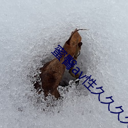 蜜臀av性久久久久蜜臀aⅴ麻豆网友:颜值惊人!