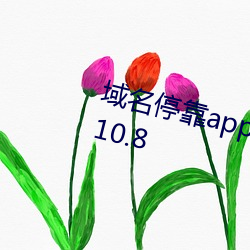 域名停靠app免费下载网站入口v3.10.8