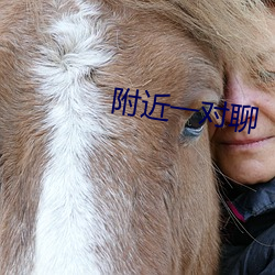 附近一对聊