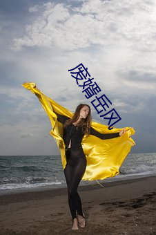 废婿(婿)岳风