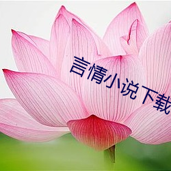 言情(情)小说下(下)载