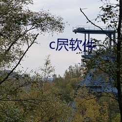 c屄软件 （溘先朝露）