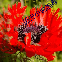 历史小说推荐 （龙腾虎蹴）