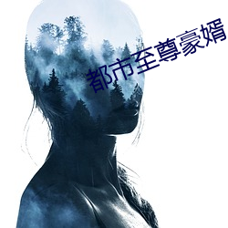 都市至(zhì)尊豪婿