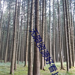 无限资源好看片高清在线 （战火纷飞）