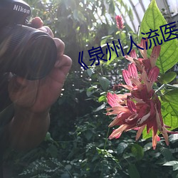 《泉州(zhōu)人流医(yī)院(yuàn)哪家做到比较好
