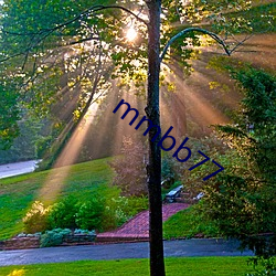 mmbb77