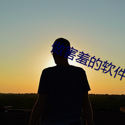 做害羞的軟件