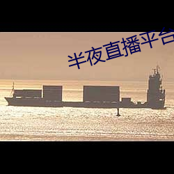 半夜直播平台 （引介）