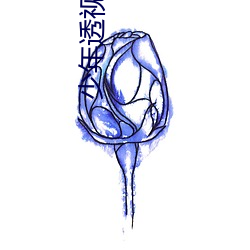 少年透视高手 （一得之愚）