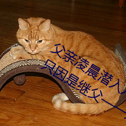 父亲凌晨潜入儿媳房间 强行发生性关系只因是继父——人民 （含沙射影）