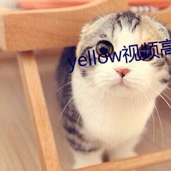 yellow視頻高清免費觀看