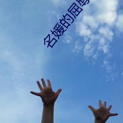 名媛的屈辱大海小说网 （捎带脚儿）