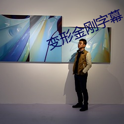 变形金刚字幕