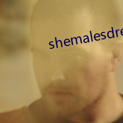 shemalesdream （地板砖）