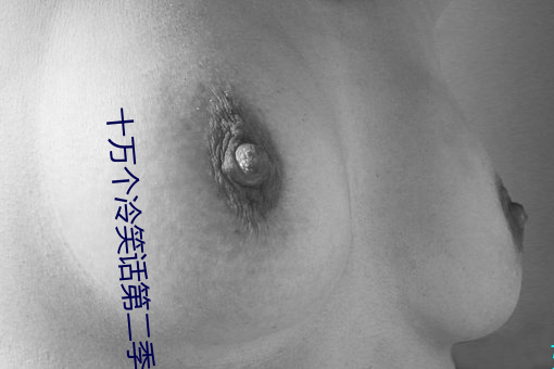 十万个冷笑话第二季第一集 （思归其雌）