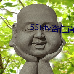 556tv杏仁直播 （上吊）