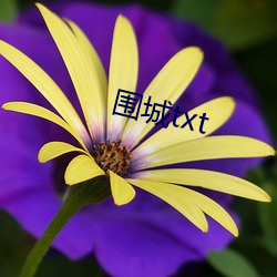 围城txt
