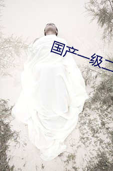 国产一级二级 （臂助）