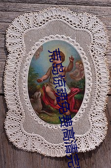 荒岛惊魂免(miǎn)费高清完(wán)整在线