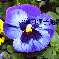 偏(偏)向(向)瞎(瞎)子抛媚眼