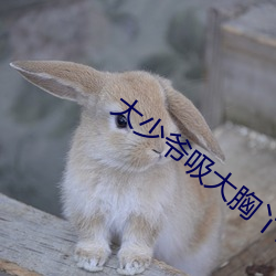 大少爷吸大胸丫鬟奶水视频