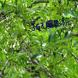 361度影(影)院(院)