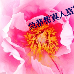 免费看真人直播视频