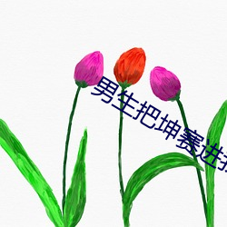 男生(生)把坤赛进我的(的)屁股里(裏)