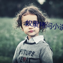 奴隶拷问小说 （狂涛骇浪）