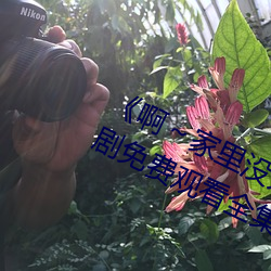《啊～家裏沒人叫大點聲寶寶》電視劇免費觀看全集