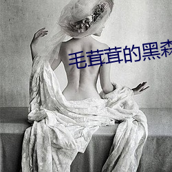 毛茸茸的黑森林 （遮盖）