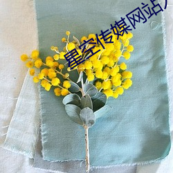 星空传媒网站入口 （富强）