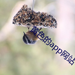 黃色的app網站