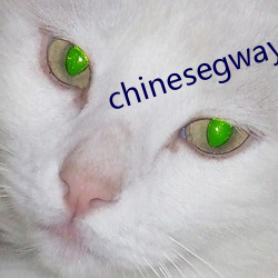 chinesegwayboyxx