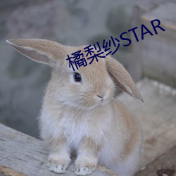 橘(橘)梨纱STAR