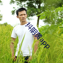 抖阴黄app