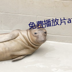 免费播放片a大片播放器