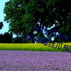 小蝌蚪(dǒu)在线(xiàn)观看视(shì)频www:免费获(huò)取草(cǎo)莓(méi)丝瓜榴(liú)莲(lián)秋葵绿巨人福